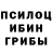 Галлюциногенные грибы мухоморы Kazbek Kozyrev