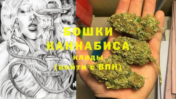 2c-b Белокуриха