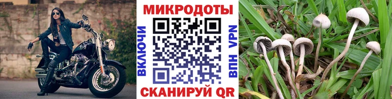 Галлюциногенные грибы мицелий  купить  сайты  Няндома 